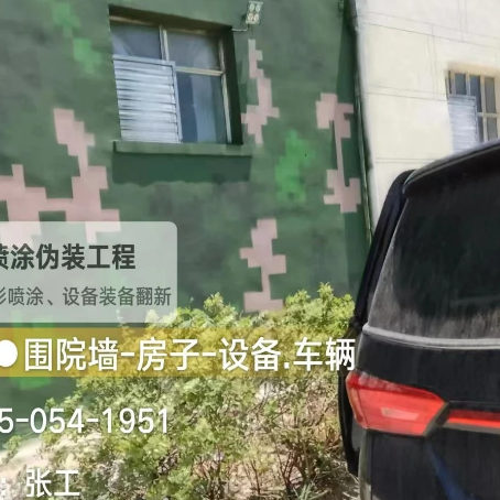 大兴数码迷彩漆施工